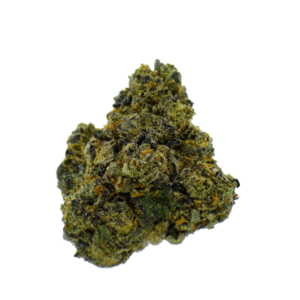 Gold Label - Carbon Fiber