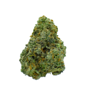 Gold Label - Gov. Oasis