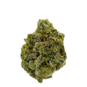 Gold Label - Hindu Kush