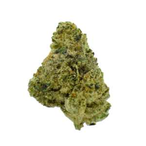 Gold Label - Orange Push Pop